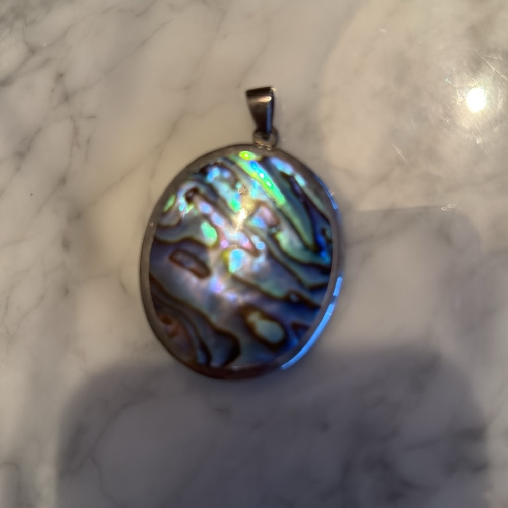 Abalone and silver shell pendant and brooch